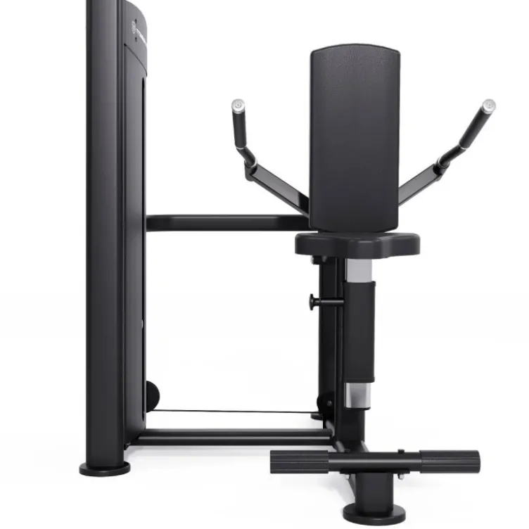 Machine à Dips Triceps Professionnelle Black Series avec colonne de poids 100 kg - BS-S29