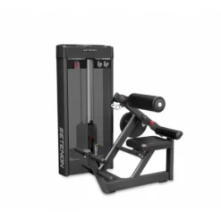Machine pour l'extension des lombaires assis à charge guidée pour usage professionnel