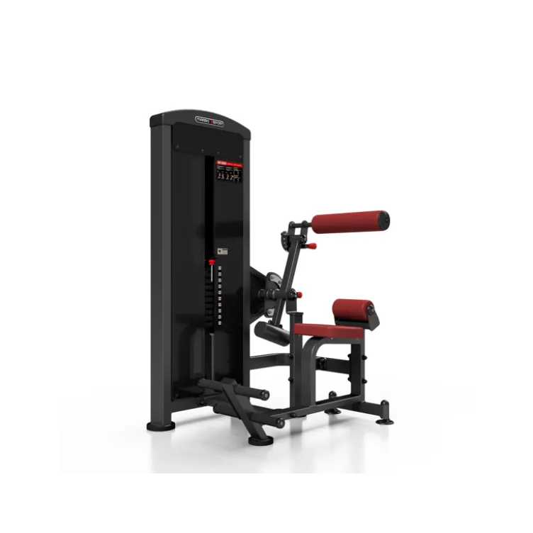 Machine pro 2 en 1 crunch abdominal et back extension