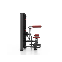 Machine pro 2 en 1 crunch abdominal et back extension
