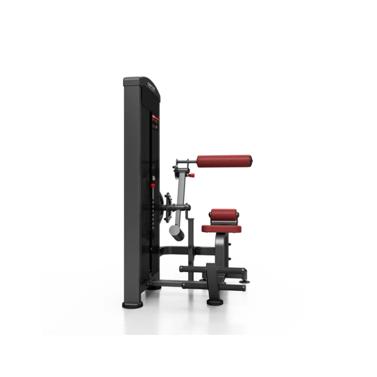 Machine pro 2 en 1 crunch abdominal et back extension