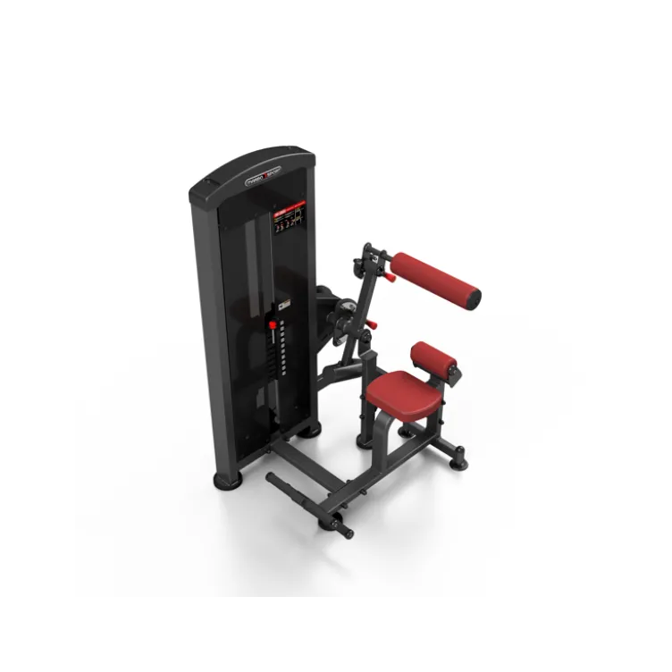 Machine pro 2 en 1 crunch abdominal et back extension