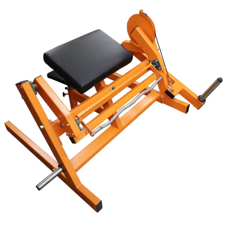 Machine Pupitre à biceps de musculation à charge libre pour salle de sport publique