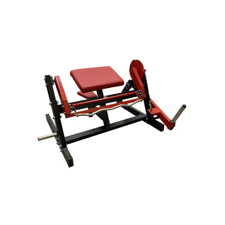 Machine Pupitre à biceps de musculation à charge libre pour salle de sport publique