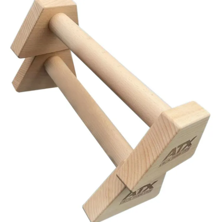 Mini Parallettes ATX 25 x 10 cm pour la musculation du haut du corps et l'entraînement Calisthenics