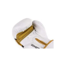 Paire de gants de boxe et sports de combat