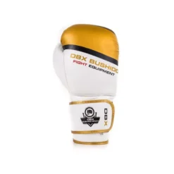 Paire de gants de boxe et sports de combat pro gold
