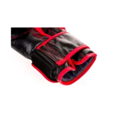 Paire de gants de boxe professionnelle