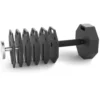 Paire de plaques de poids en acier 2 x 2 kg pour extension de charge Octa Dumbells ATX - Progression possible jusqu'à 65 kg