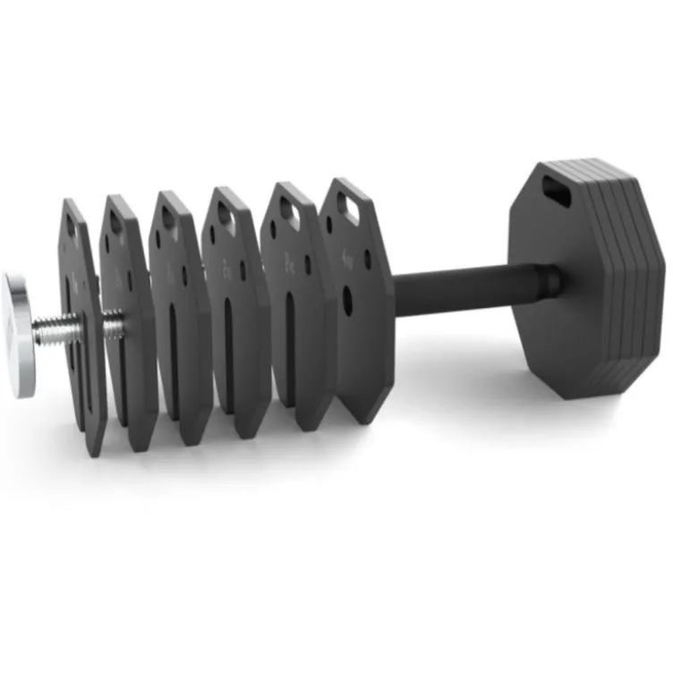 Paire de plaques de poids en acier 2 x 2 kg pour extension de charge Octa Dumbells ATX - Progression possible jusqu'à 65 kg