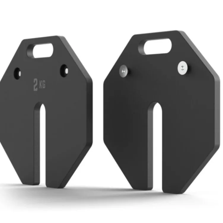 Paire de plaques de poids en acier 2 x 2 kg pour extension de charge Octa Dumbells ATX - Progression possible jusqu'à 65 kg