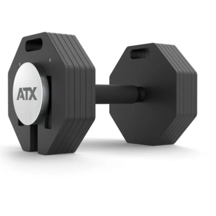 Paire de plaques de poids en acier 2 x 2 kg pour extension de charge Octa Dumbells ATX - Progression possible jusqu'à 65 kg