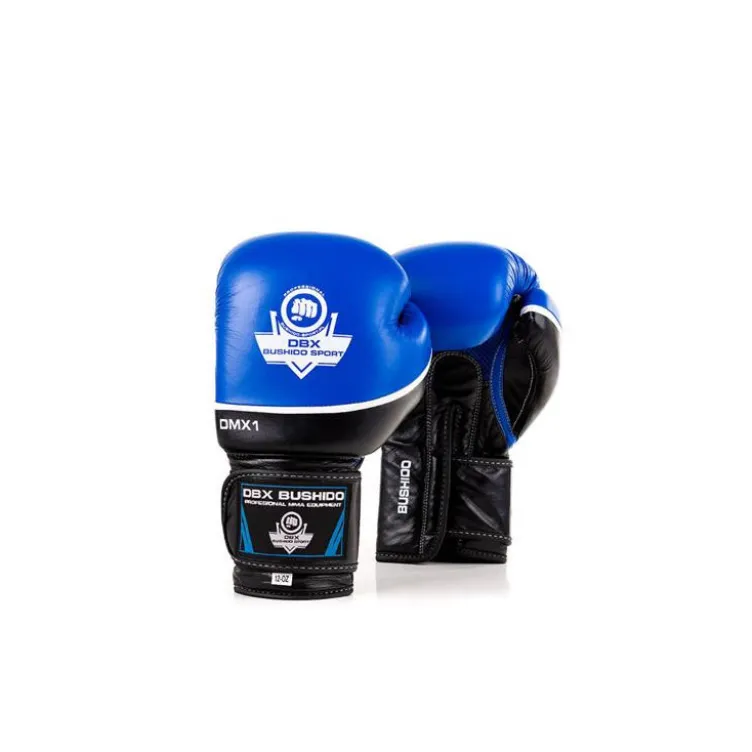 Paire gants de boxe et kick-boxing professionnel