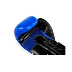 Paire gants de boxe professionnelle bleue