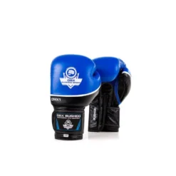 Paire gants de boxe professionnelle bleue