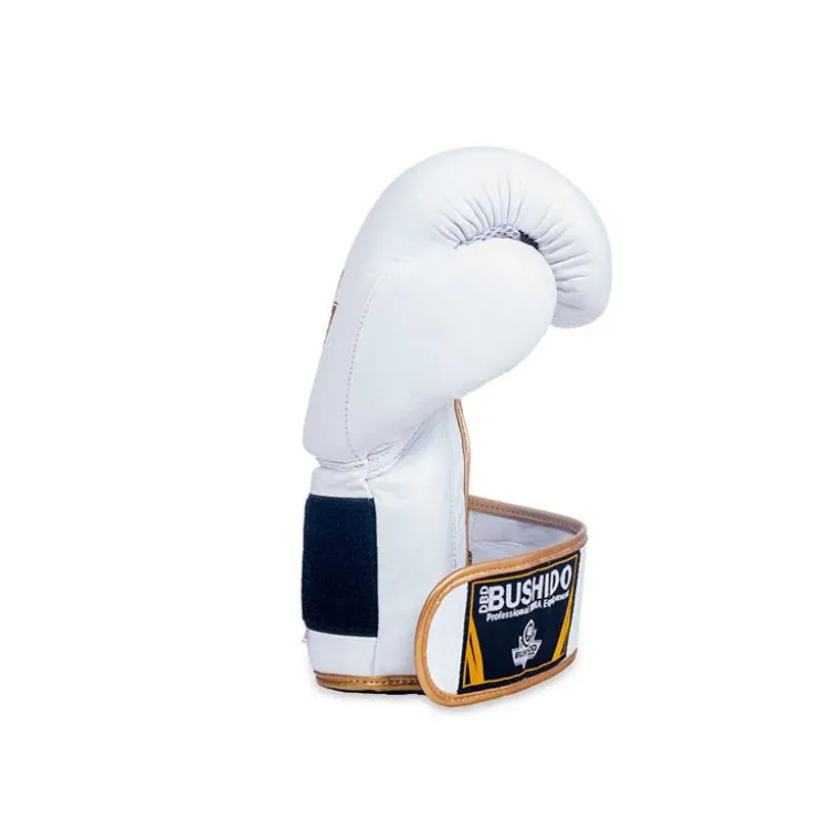 Paire gants de boxe professionnelle 100% cuir