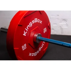 Plaques de poids de 50 mm pour entraînement à domicile - 2,5 kg -