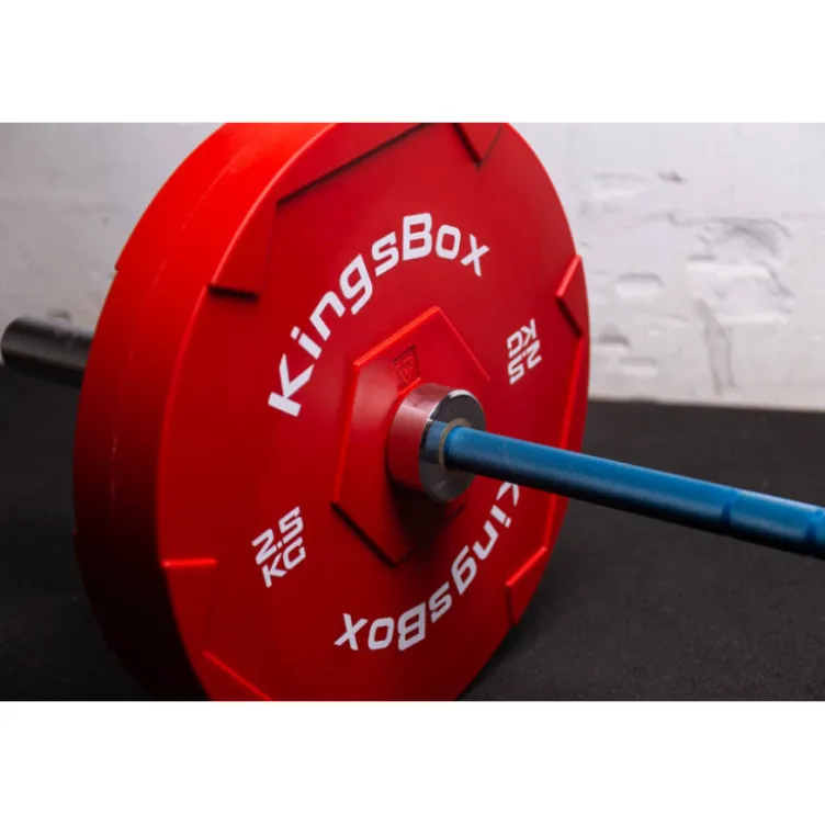 Plaques de poids de 50 mm pour entraînement à domicile - 2,5 kg -