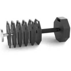 Plaques de poids supplémentaires pour paires d'haltères Octa Dumbells ATX 2 x 1 kg - Extension de charge