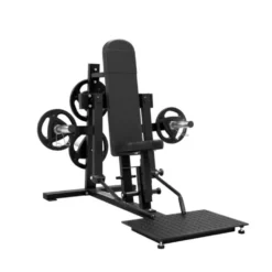 Plate loaded Deltoïdes postérieur Machine pour professionnels - Oiseau à charge libre