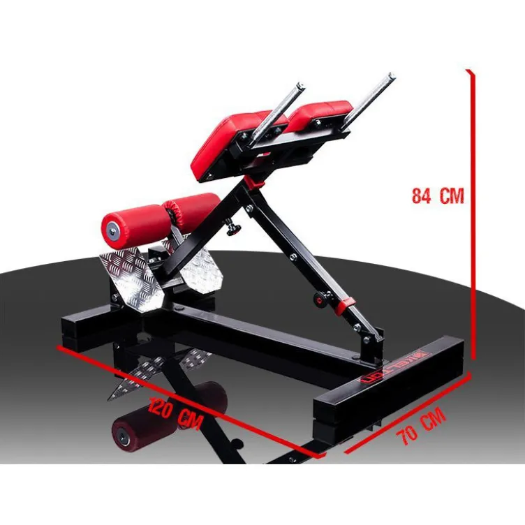 Poste à abdominaux et lombaires - Back extension réglable sur 3 positions pour espaces sportifs professionnels