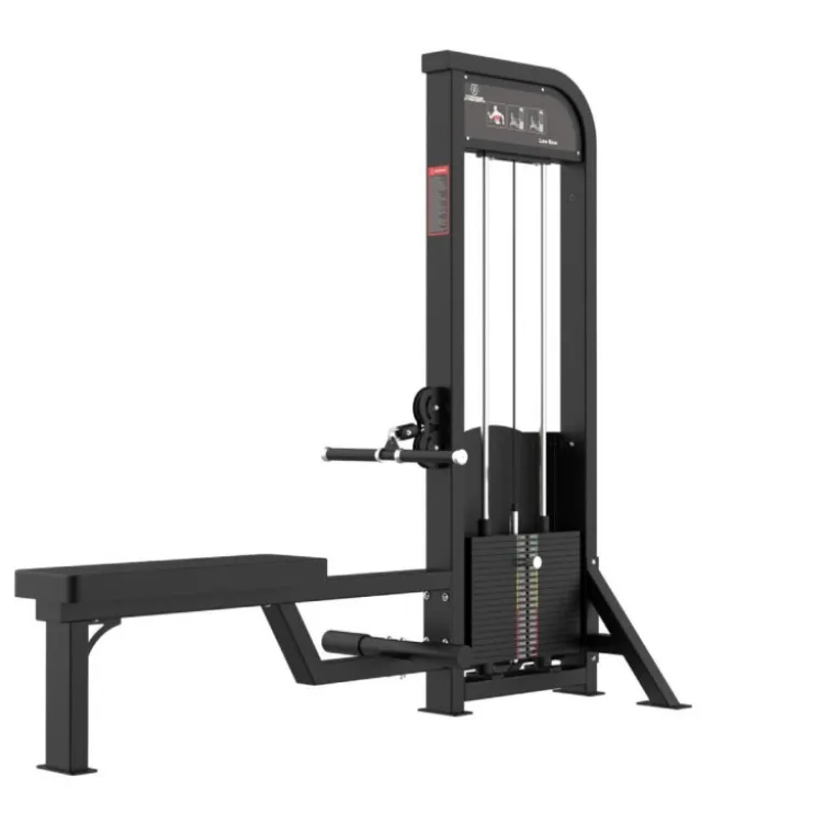 Poulie Basse à sélecteur de poids 100 kg Élite Séries El-S25 Titanium Strength à usage commercial - Rowing Dorsaux
