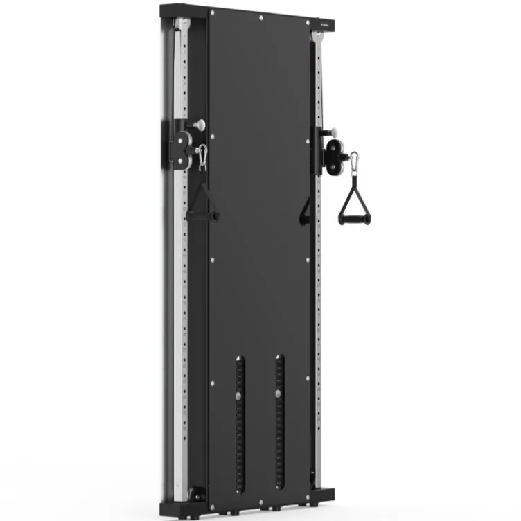 Poulie vis à vis murale professionnelle avec double colonne de poids - Capacité de charge 150kg
