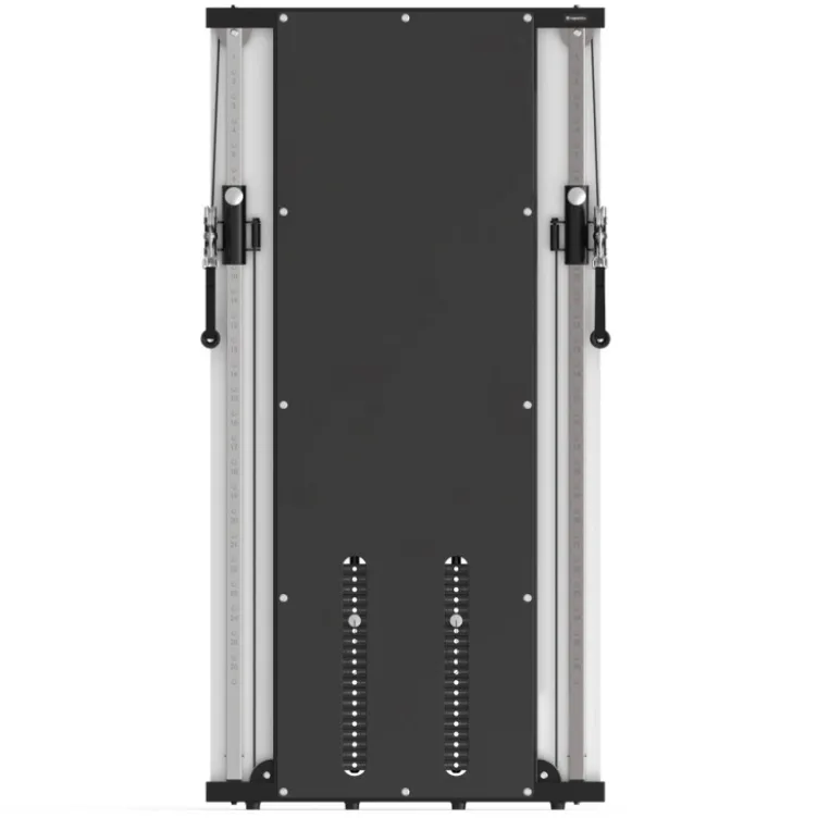 Poulie vis à vis murale professionnelle avec double colonne de poids - Capacité de charge 150kg