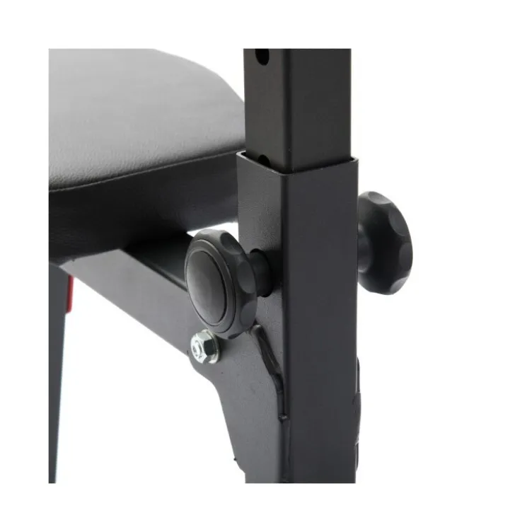 Pupitre à biceps ajustable sur 5 niveaux capacité de charge 250 kg