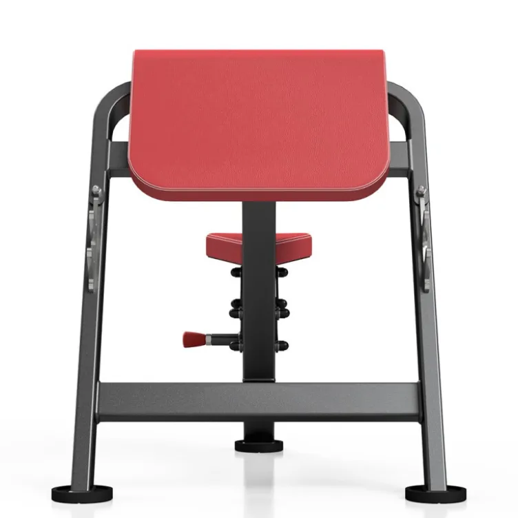 Pupitre à biceps banc Scott professionnel 400 kg
