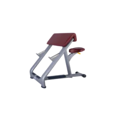 Pupitre à biceps professionnel avec siège réglable