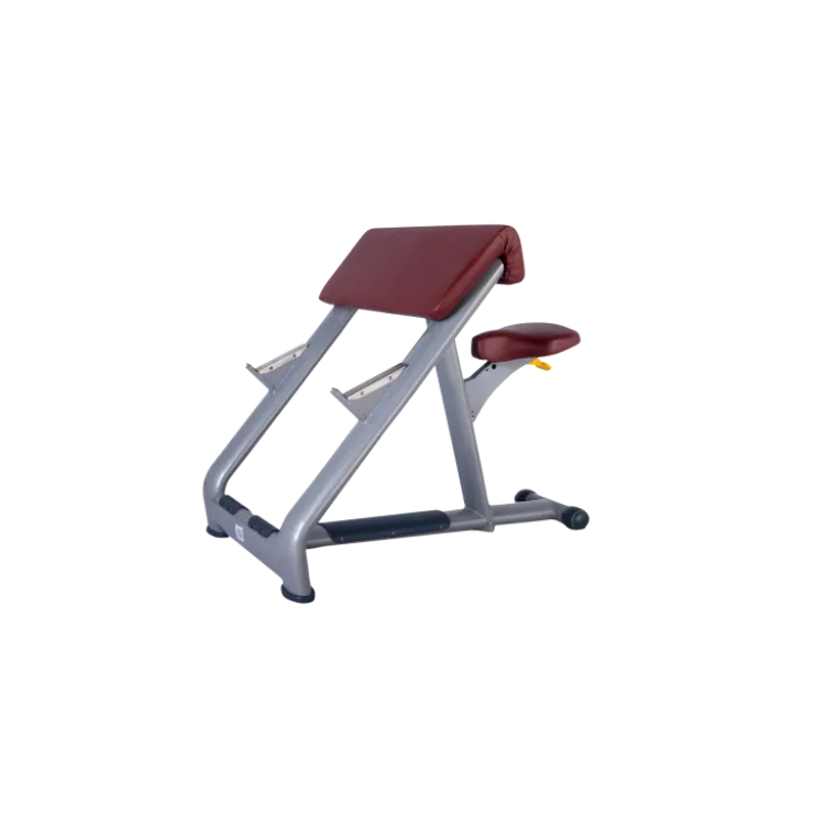 Pupitre à biceps professionnel avec siège réglable