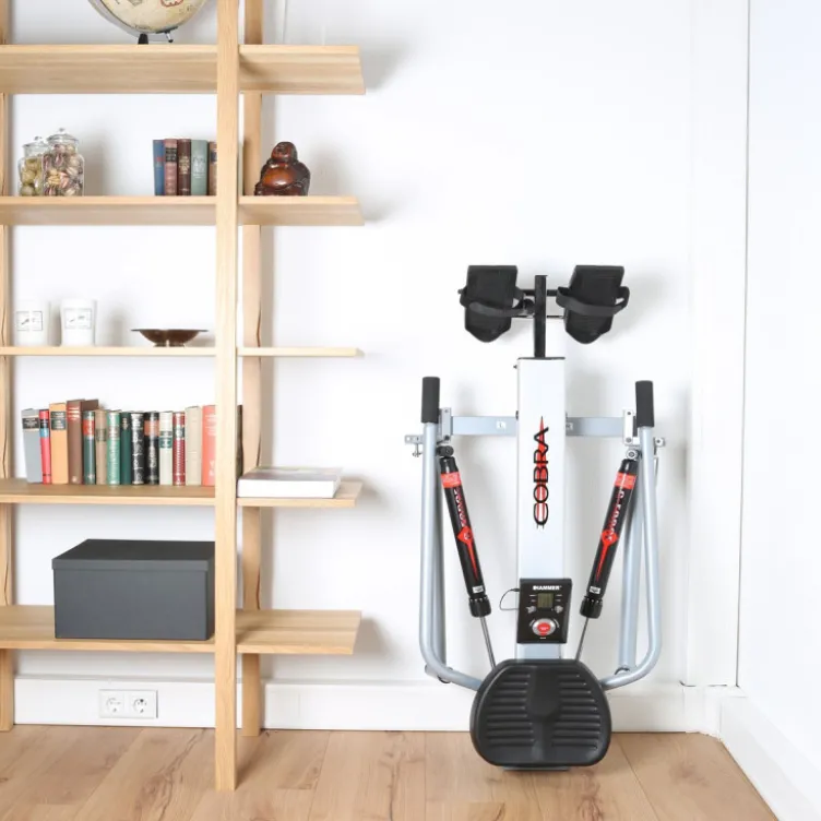 Rameur d'aviron pliable avec bras séparés et niveau de difficulté réglable - Écran LCD