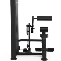 Seated back extension machine à charge guidée Black Séries Titanium Strength pour salles PRO - Colonne de poids 100 kg BS-S15