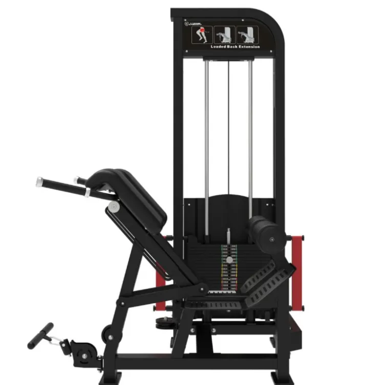 Selectorized station hyperextension pour les lombaires 100 kg Titanium Élite Séries EL-S43 - Banc hyperextension multi-réglable