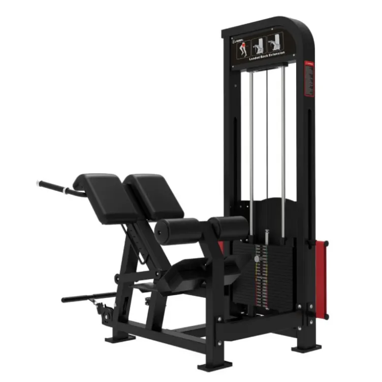 Selectorized station hyperextension pour les lombaires 100 kg Titanium Élite Séries EL-S43 - Banc hyperextension multi-réglable