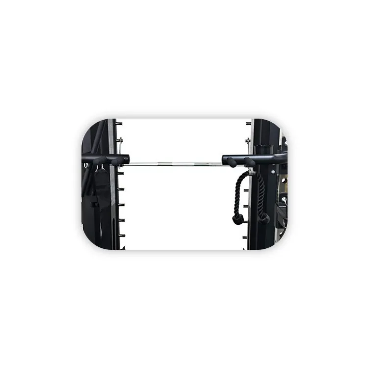 Smith machine de musculation avec double colonne de poids 200 kg et système de poulie