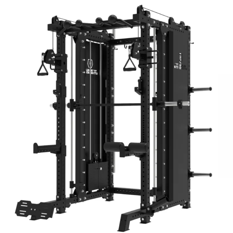 Smith Machine Multifonctionnelle avec doubles poulies et colonnes de poids 2 x 120 kg - B500 PRO Titanium Strength Elite Series