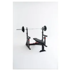 Squat et dip stand de musculation à hauteur et largeur ajustables pour homegym avec capacité de charge de 272 kg