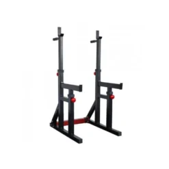 Squat et dip stand de musculation à hauteur et largeur ajustables pour homegym avec capacité de charge de 272 kg