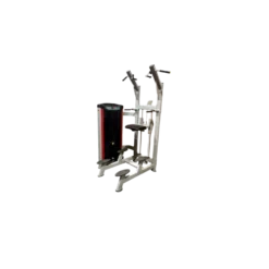 Station chaise romaine avec système d'assistance et colonne de poids 100 kg