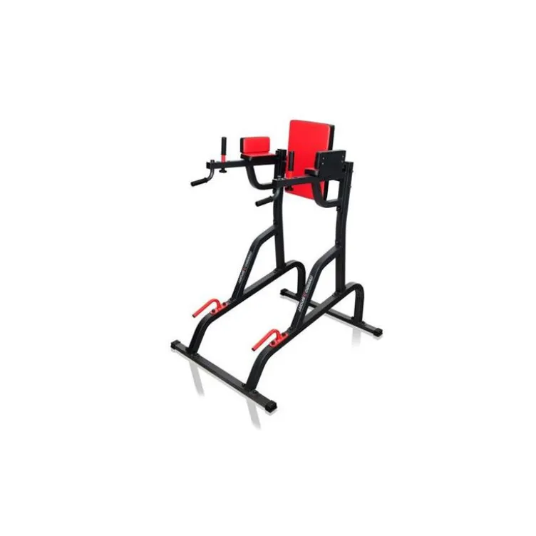 Station chaise romaine pour exercices de dips en Home-gym capacité 150 kg