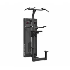 Station à charge guidée pour tractions et dips assistés de qualité professionnelle - Chaise romaine à Colonne de poids
