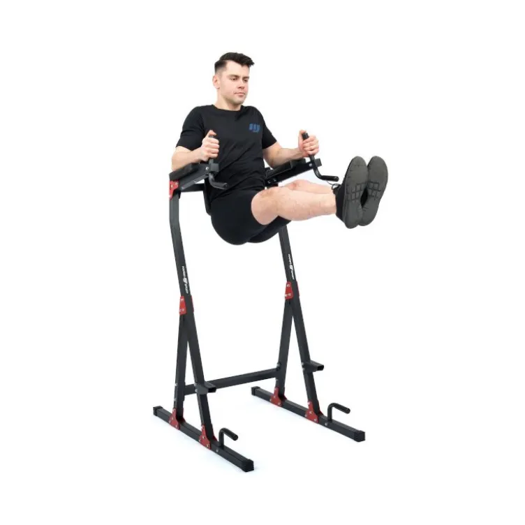Station de dips et abdominaux capacité 120 kg