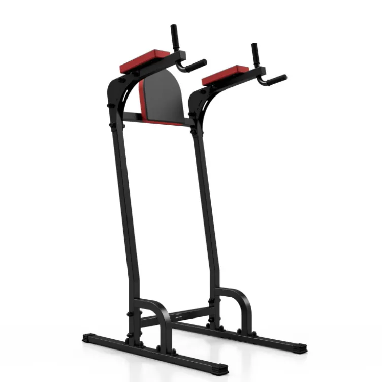 Station de dips et abdominaux capacité 120 kg