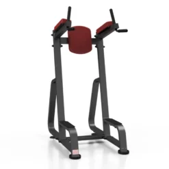 Station de dips et abdominaux professionnelle charge 150 kg