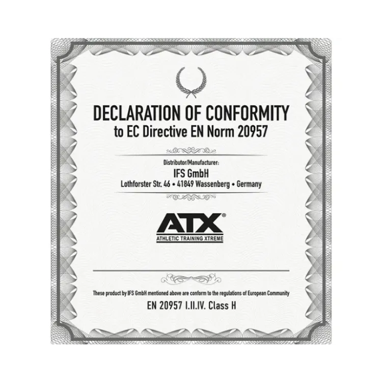 Station de musculation PecFly / RearDelt pour entraînement des pectoraux et des dorsaux