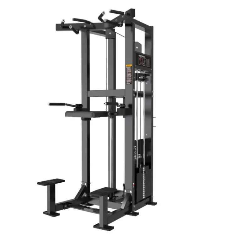 Station de musculation pour les dips et tractions assistées avec 100 kg de charge Elite Series Titanium Strength ELRX-S2