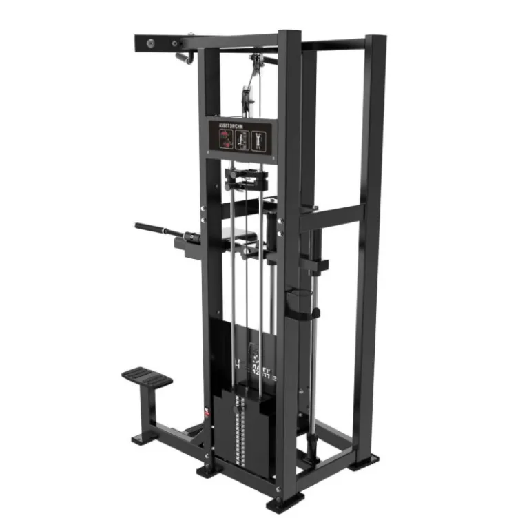 Station de musculation pour les dips et tractions assistées avec 100 kg de charge Elite Series Titanium Strength ELRX-S2