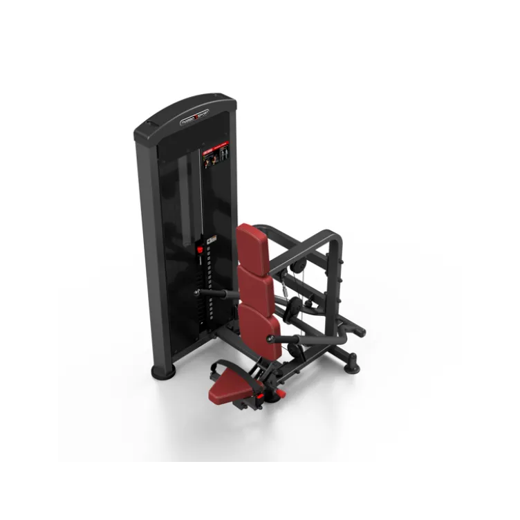 Station de musculation pro dips assis avec charge guidée